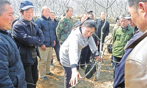 买球官方网站产加销一条龙 打造核桃产业链